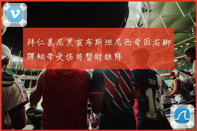 拜仁慕尼黑宣布斯坦尼西奇因右脚踝韧带受伤将暂时缺阵